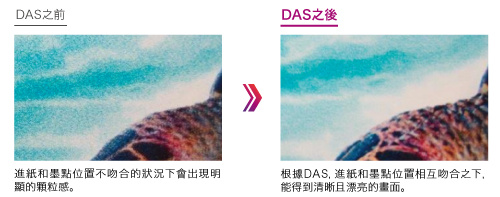 自動墨點調整機能 DAS1（Dot Adjustment System 1）