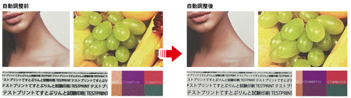 DAS進化了！　DAS2（Dot Adjustment System 2）